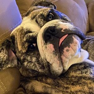 ❤️ WELCOME TO MY CLOSET ❤️